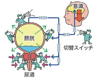 (図1)